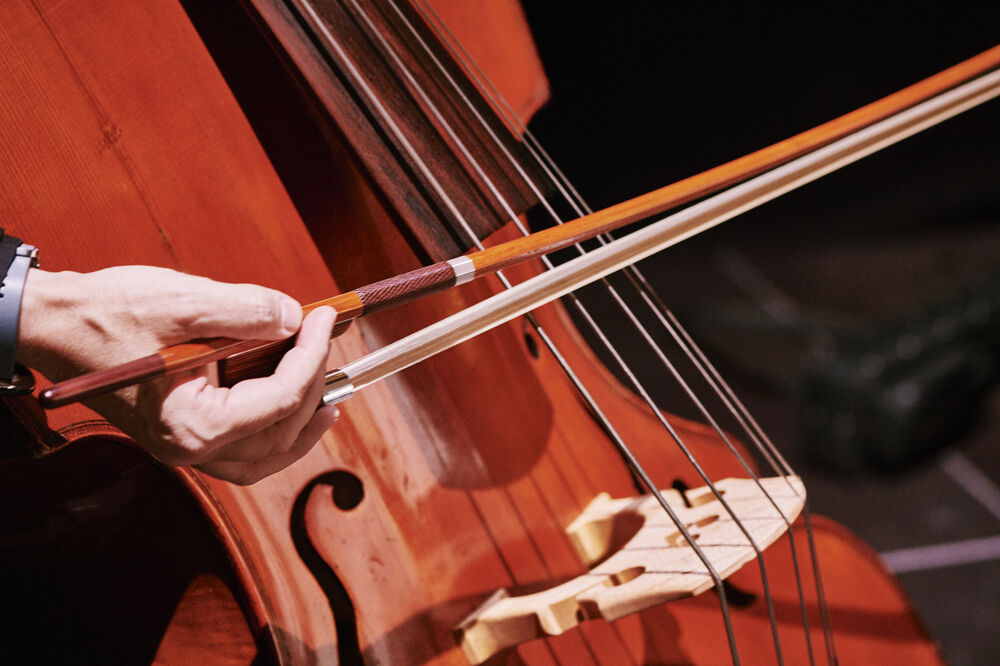 Paddington Bärs erstes Konzert | 4. Familienkonzert