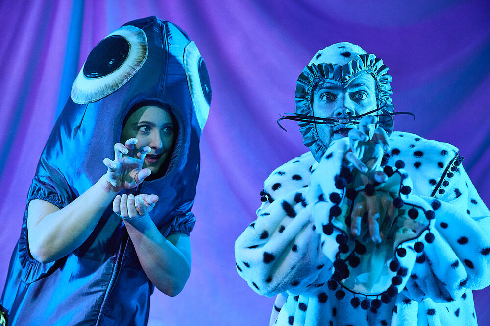 Video "Publikumsstimmen AALI VOM KANALI"