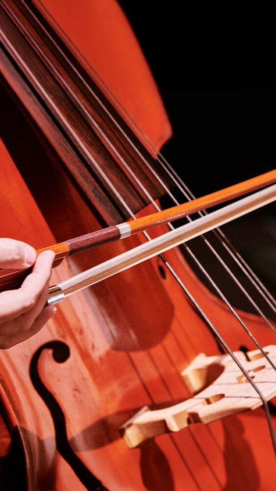 Paddington Bärs erstes Konzert | 4. Familienkonzert