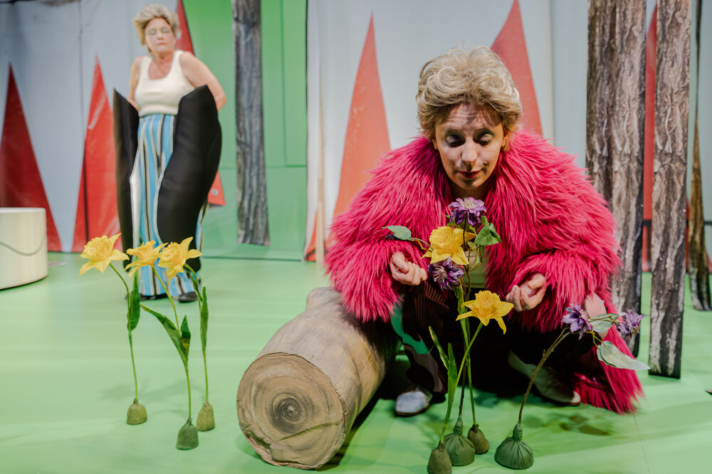 Der Bär, der nicht da war