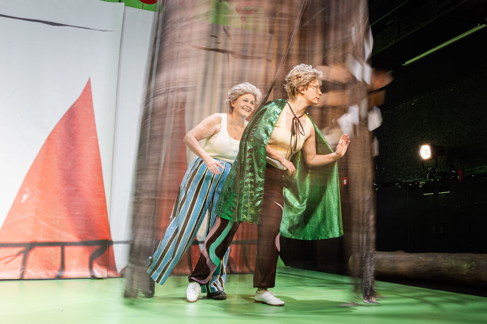 Der Bär, der nicht da war