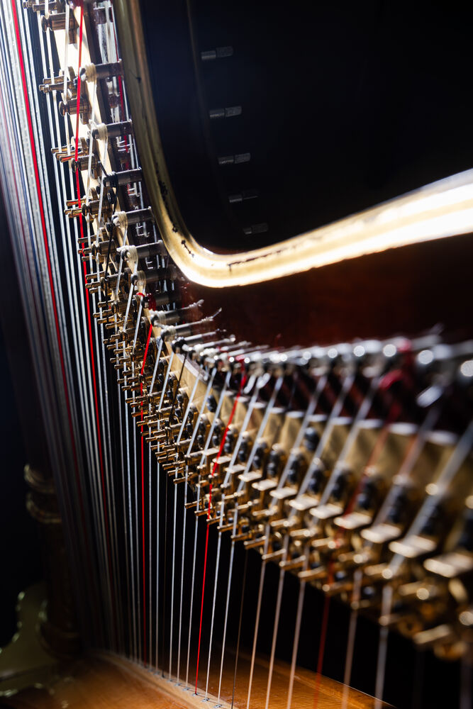 6. Philharmonisches Konzert | Im Spiegel